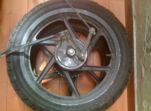 Imagen Rines 2