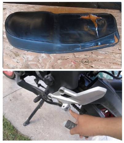 Imagen Sire 3